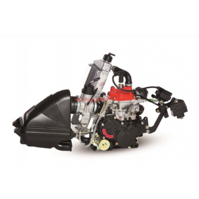 Kompletny silnik Rotax 125 Mini Max Evo